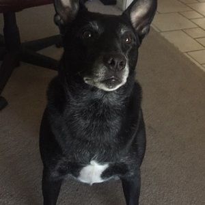 Meet your Posher, Jadyn